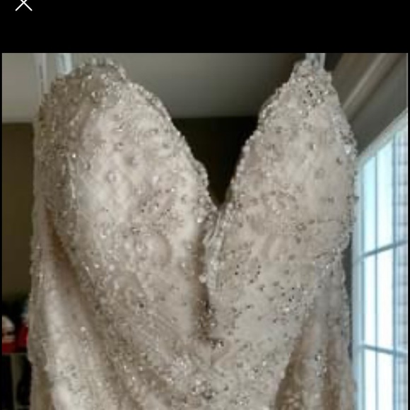 Beautiful Champagne Wedding Dress - Picture 5 of 9